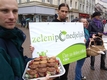 Veggie Promotion on the Main Square