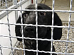 Open Doors at Dumovec Shelter