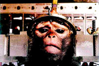 Pokus na majmunu [ 49.31 Kb ]