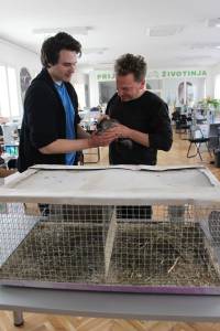 Adopted chinchillas 3 [ 1.05 Mb ]