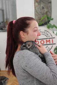 Adopted chinchillas 7 [ 959.99 Kb ]