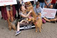 Psi i gra�ani ukazali na problem neprovedbe Zakona [ 302.19 Kb ]