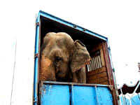 Protest on Vir 1 [ 24.62 Kb ]