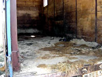 Protest on Vir 4 [ 29.75 Kb ]