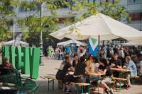 vegesajam 2023 [ 246.78 Kb ]