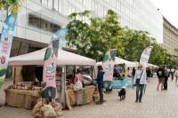 VegeSajam 2023 [ 256.14 Kb ]