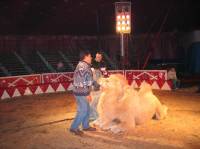 Gaertner in Osijek 1 [ 37.21 Kb ]