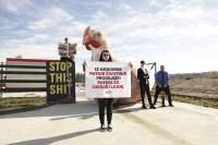 Stop the Shit_Marija Bota Strbe [ 1.52 Mb ]