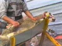 Klanje ovce [ 15.27 Kb ]