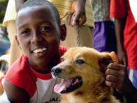 Source: WSPA - boy and dog [ 40.07 Kb ]