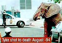 cirkus9 [ 21.40 Kb ]