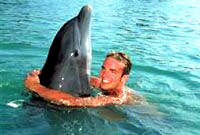 dolphin_swimmer [ 14.38 Kb ]