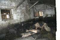 Pig Farm 'Eko Mavrovic' 13 [ 727.74 Kb ]
