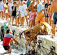 Borbe s bikovima i Fiesta - 13 [ 42.46 Kb ]