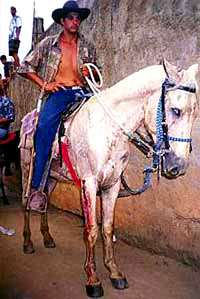 Borbe s bikovima i Fiesta - 17 [ 44.48 Kb ]