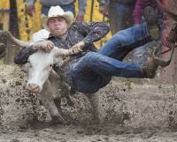 Rodeo [ 72.71 Kb ]