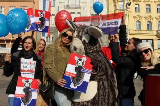 �in�in predizborni skup [ 246.09 Kb ]