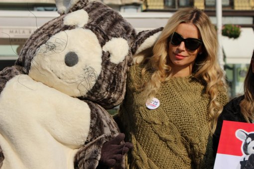 �in�in predizborni skup [ 210.78 Kb ]