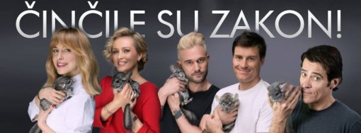 �in�ile su zakon [ 35.07 Kb ]
