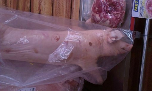 abused pig from Metro Sesvete [ 112.35 Kb ]