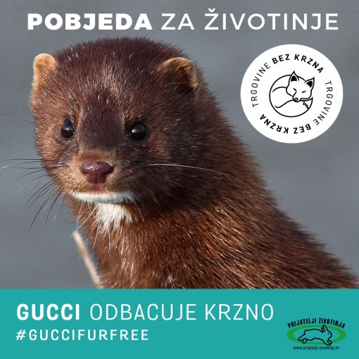 Gucci odbacuje krzno [ 375.13 Kb ]