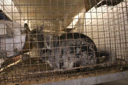 �in�ila [ 75.91 Kb ]