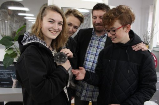 Udomljene �in�ile [ 67.41 Kb ]