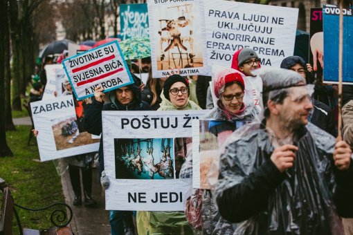 March for the animals, photo: Jelena Rasic [ 320.49 Kb ]