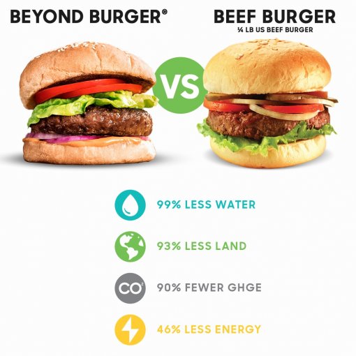 veggy burger vs meat burger [ 177.25 Kb ]