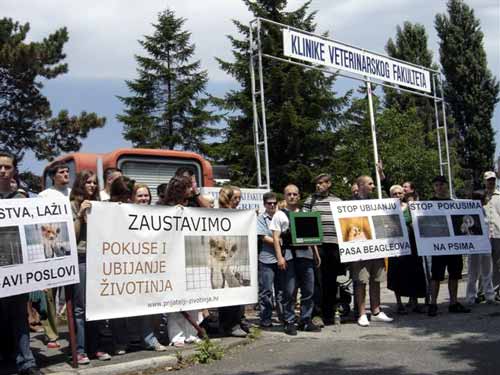 Protest in front of the Faculty of Veterinary Medicine 1