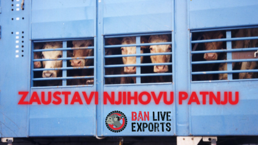 zaustavi njihovu patnju [ 969.00 Kb ]