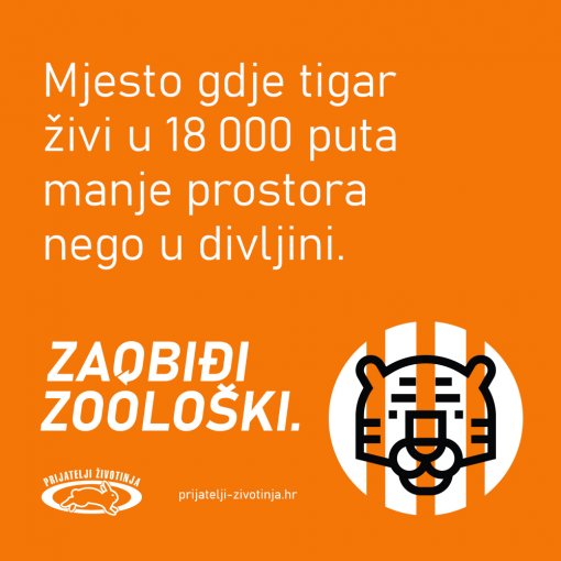 Zaobi�i zoolo�ki tigar [ 311.16 Kb ]