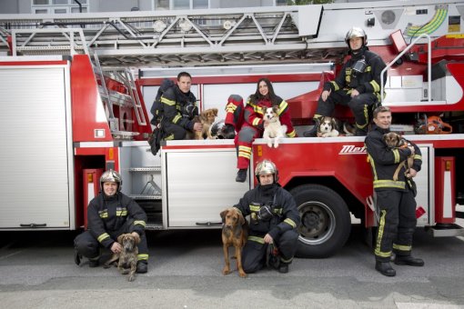 Firefighters_photo: Ana Mihali� [ 240.00 Kb ]