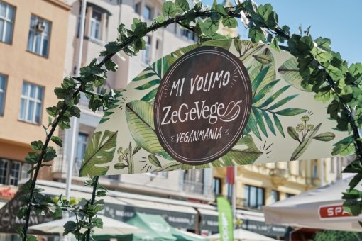 13 ZeGeVege-Vanja Babi� [ 228.82 Kb ]