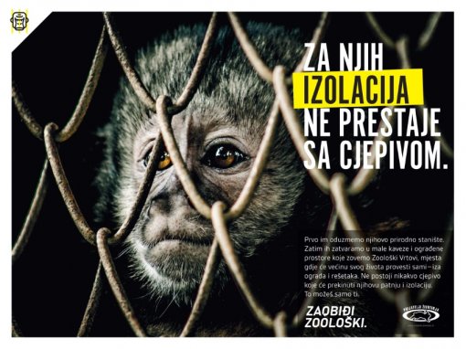 zaobi�i zoo_majmun [ 150.13 Kb ]