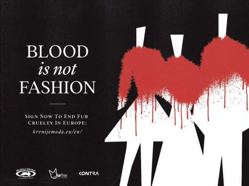 blood is not fashion [ 145.20 Kb ]