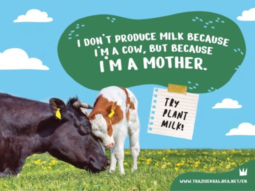 i have milk because i am a mother [ 157.51 Kb ]