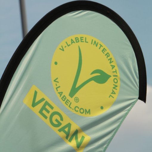 v label beach flag [ 80.16 Kb ]
