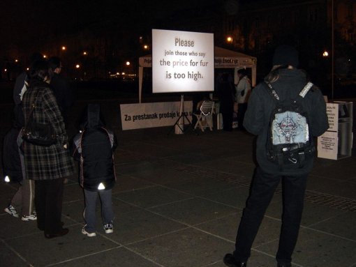 Ve�ernji �tand s video projekcijom o krznu [ 94.32 Kb ]