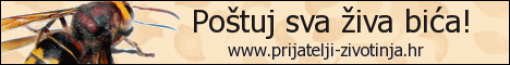 "Po�tuj sva �iva bi�a!" - hr