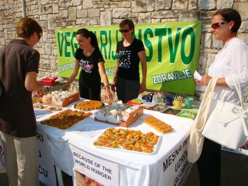 Tasting in Porec 1 [ 124.28 Kb ]