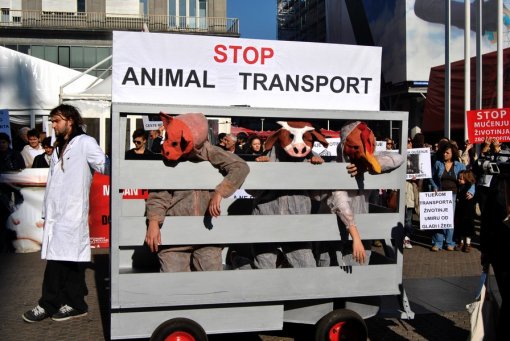 Demo against animal transport 2010  15 [ 225.10 Kb ]