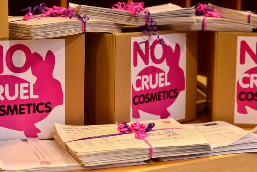 Handing-in petition against cosmetics testing at the European Parliament [ 284.14 Kb ]