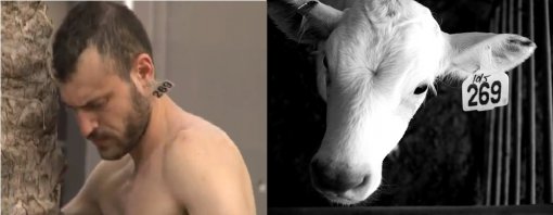 269 Solidarity [ 173.61 Kb ]