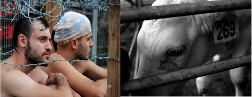 269 Solidarity [ 275.43 Kb ]