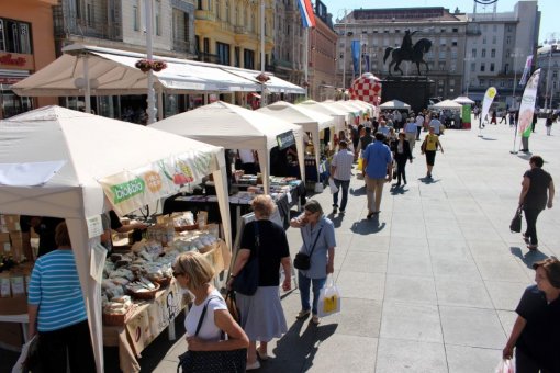 Veggie Fair June 2, 2015 [ 215.46 Kb ]