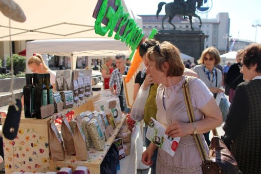 Veggie Fair June 2, 2015 [ 190.79 Kb ]