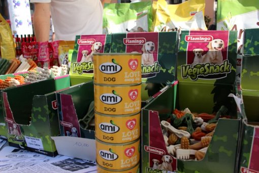 Veggie Fair June 2, 2015 [ 193.93 Kb ]