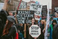 March for Animals 2019, photo: Jelena Rasic [ 88.03 Kb ]