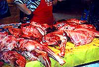Dog meat 5 [ 29.66 Kb ]